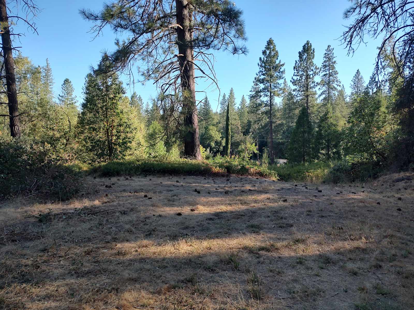 Purdon Crossing Yuba Campground - Nevada City, California - glamping.directory