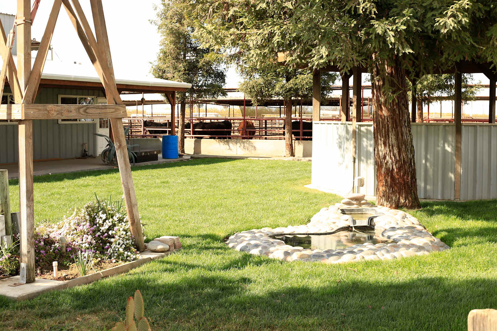 Cowboy Land & Livestock - glamping.directory