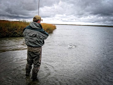Rustic Fishing Lodge for a Getaway near Iliamna Lake, Alaska - Igiugig, Alaska - glamping.directory