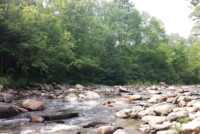 Cozy Escape in a Suite near Bryant Mountain State Forest in Massachusetts - Cummington, Massachusetts - glamping.directory