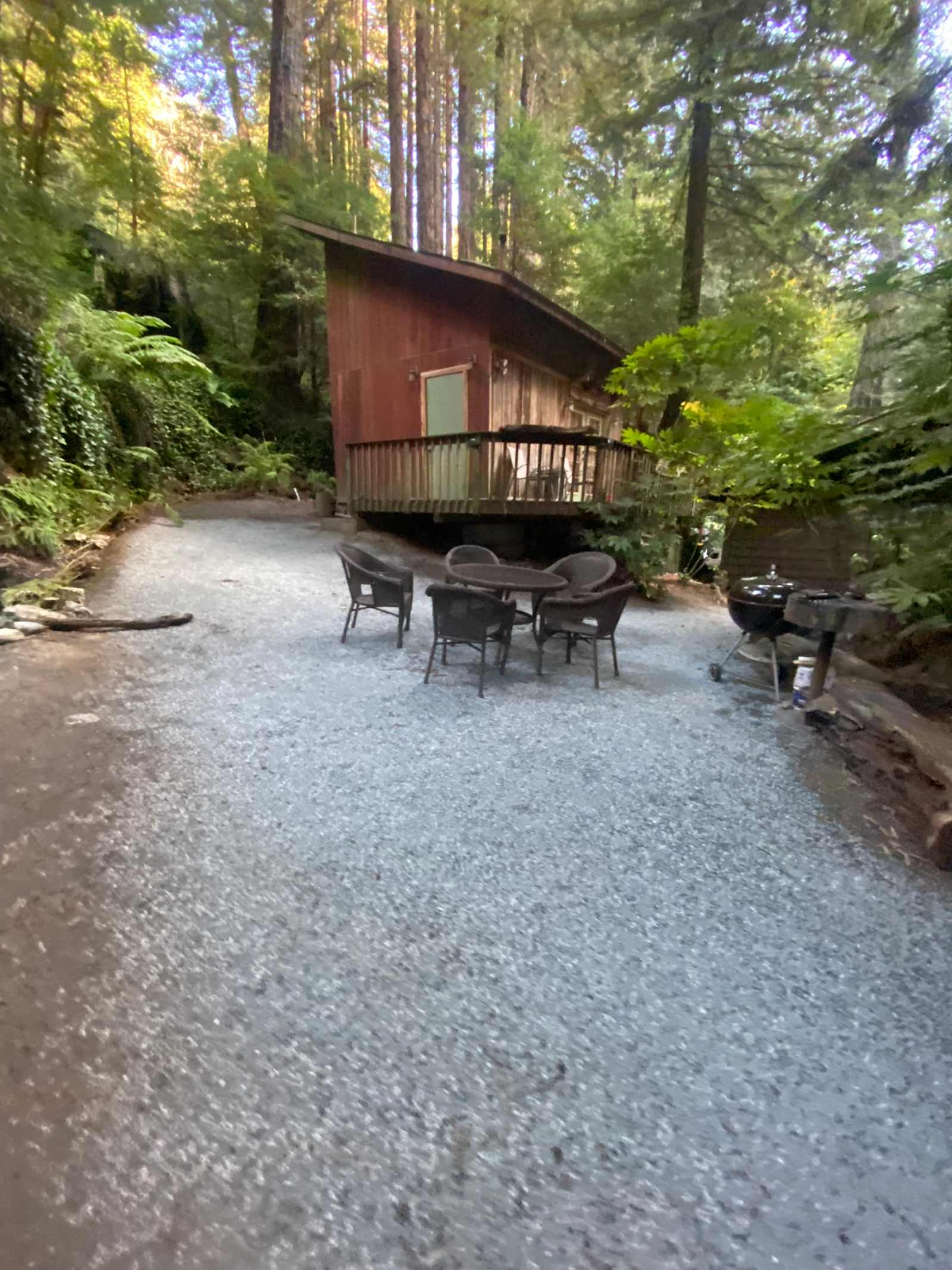 The Little Poppy Cabin! 🌸 - Carmel, California - glamping.directory