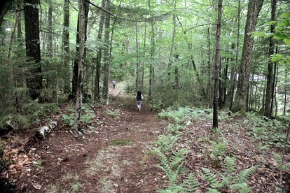 Camp Overlook in Webb, NY - Webb, New York - glamping.directory