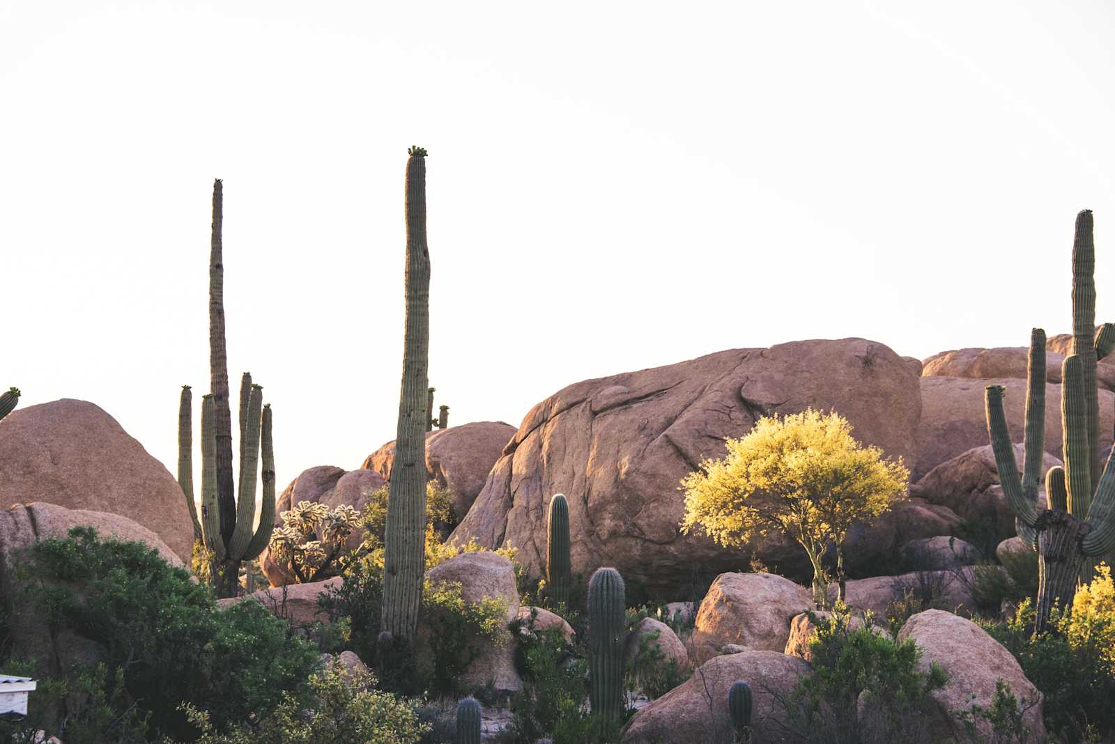 Boulder hideout - Cactus Forest, Arizona - glamping.directory