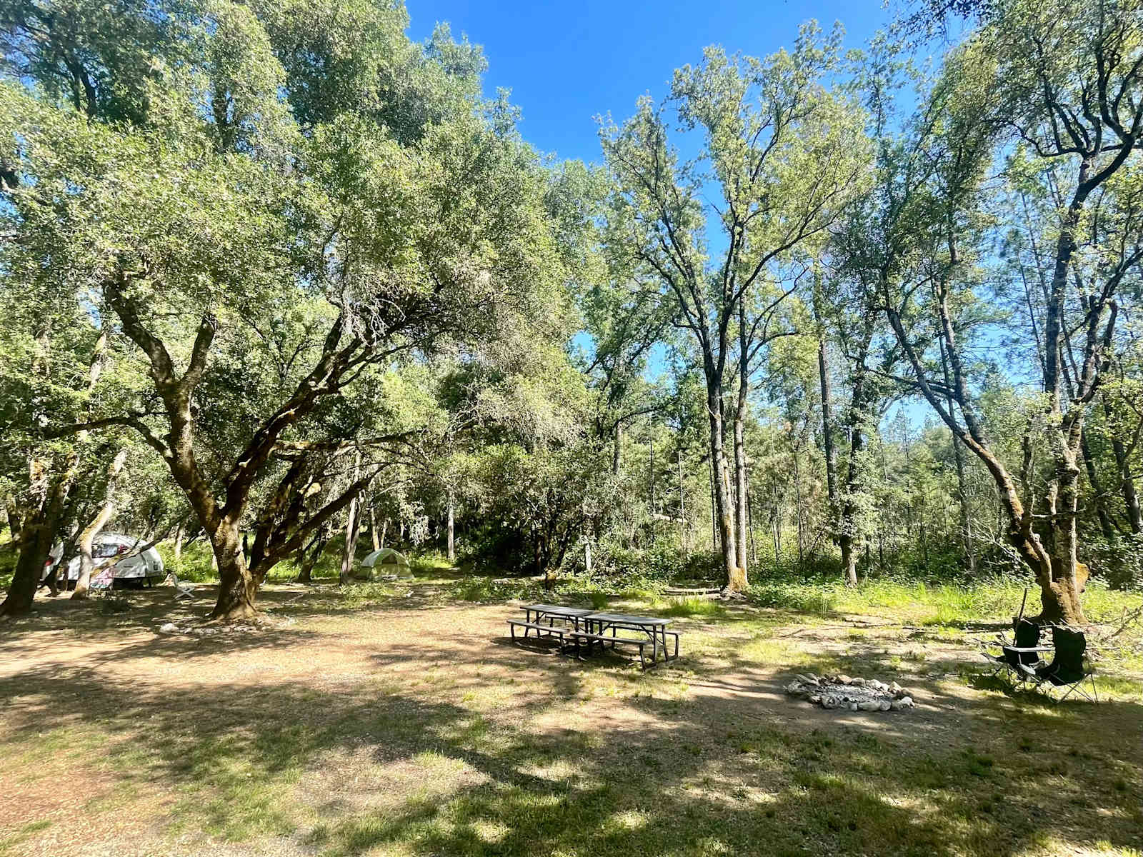 The Black Oak Forest - glamping.directory