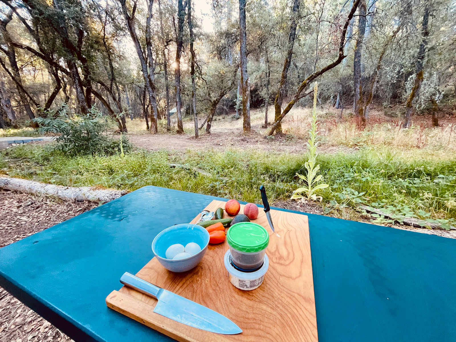 The Black Oak Forest - Coloma, California - glamping.directory