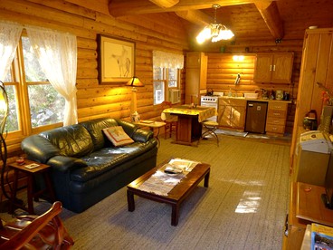 Cozy Log Cabin Rental with a Hot Tub near Nevada City, California - Nevada City, California - glamping.directory