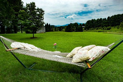 Captivating Cottage with Blue Ridge Mountain Views in Little Washington, Virginia - Washington, Virginia - glamping.directory