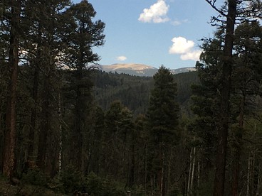 Peaceful New Mexico Yurt for an Off-Grid Getaway in Red River - Red River, New Mexico - glamping.directory