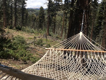Peaceful New Mexico Yurt for an Off-Grid Getaway in Red River - Red River, New Mexico - glamping.directory