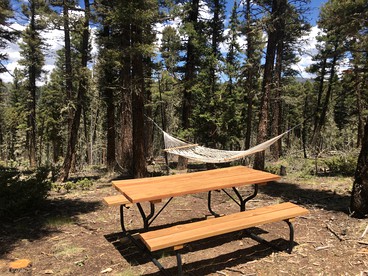 Peaceful New Mexico Yurt for an Off-Grid Getaway in Red River - Red River, New Mexico - glamping.directory