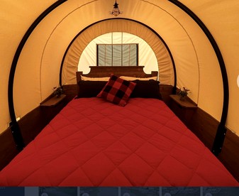 Tranquil Cottage with Great Forest Sights in Danville, Kentucky - Danville, Kentucky - glamping.directory