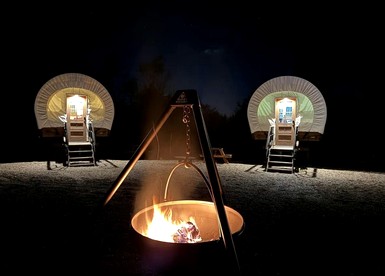 Tranquil Cottage with Great Forest Sights in Danville, Kentucky - Danville, Kentucky - glamping.directory