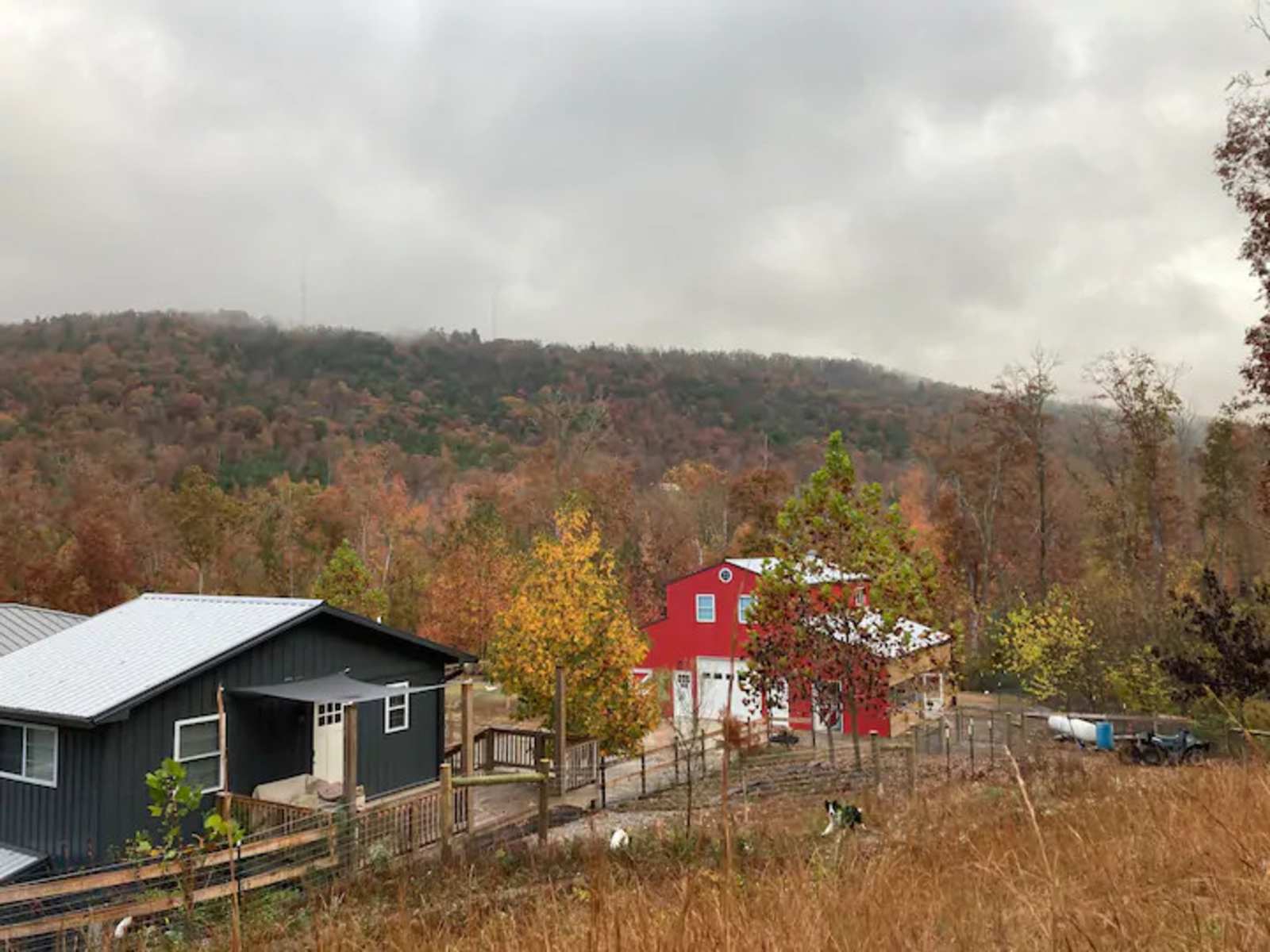 Kelly Hollow Farm Stays - glamping.directory