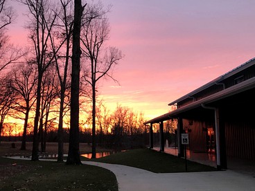 Pet-Friendly Log Cabin with an Outdoor Pool near Crofton, Kentucky - Crofton, Kentucky - glamping.directory