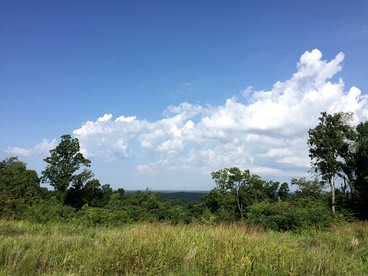 Pet-Friendly Log Cabin with an Outdoor Pool near Crofton, Kentucky - Crofton, Kentucky - glamping.directory