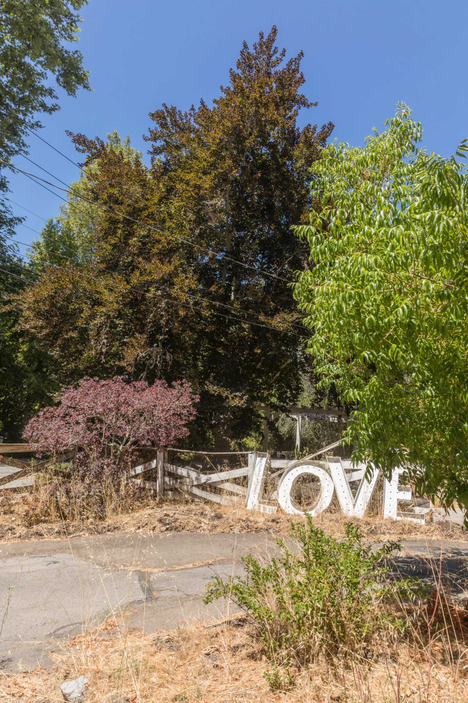 Hidden Spring Ranch - Santa Cruz, California - glamping.directory