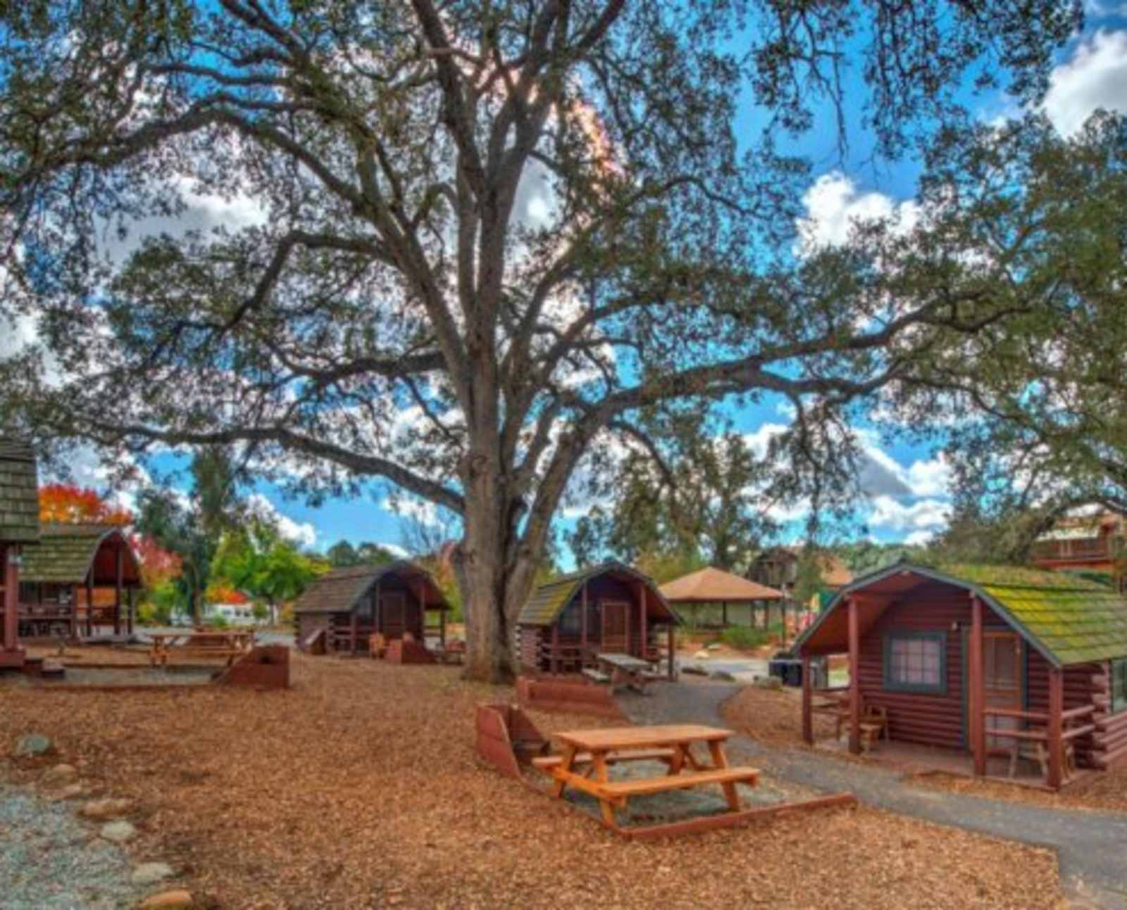 Angels Camp RV & Camping Resort - Angels Camp, California - glamping.directory