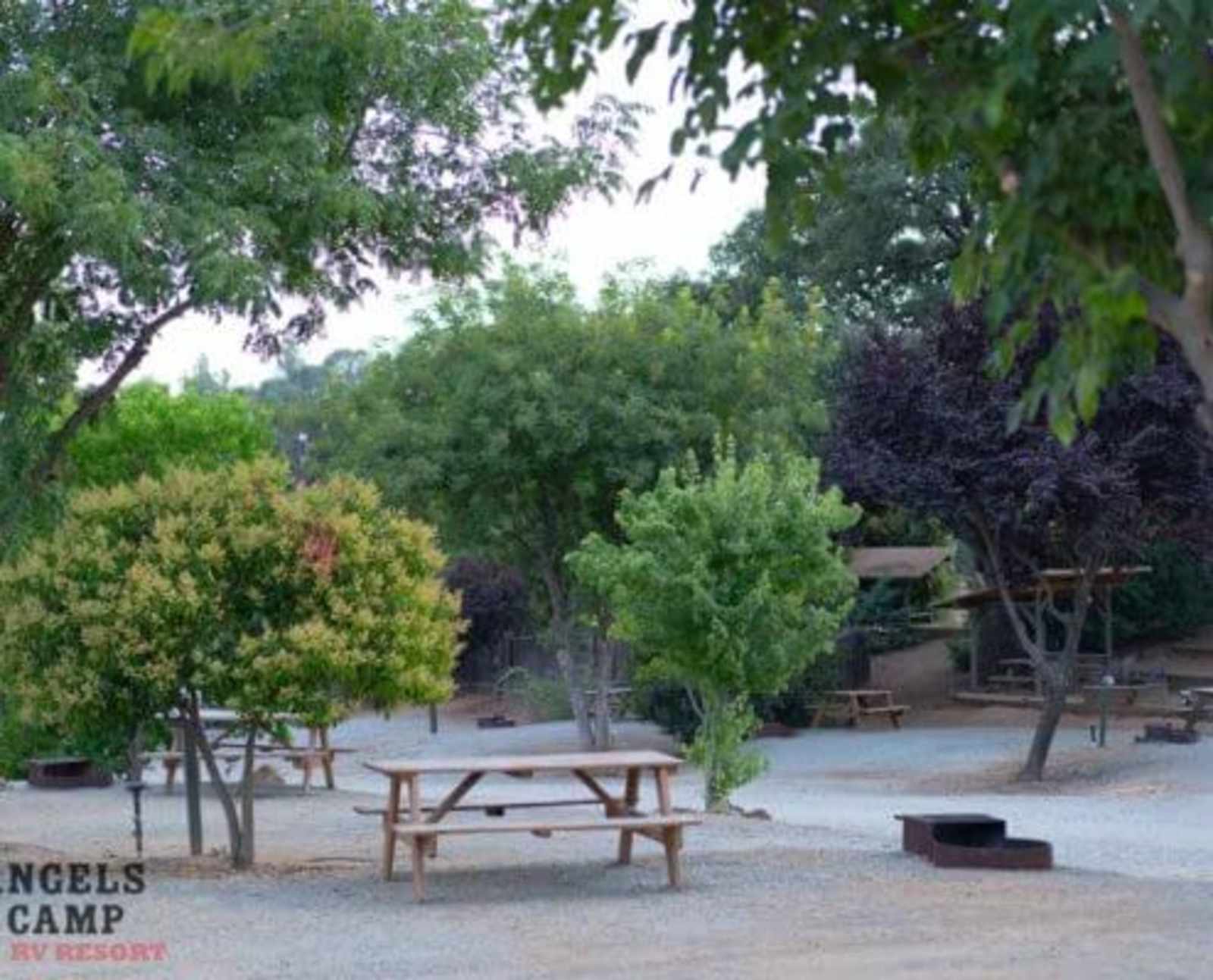 Angels Camp RV & Camping Resort - Angels Camp, California - glamping.directory