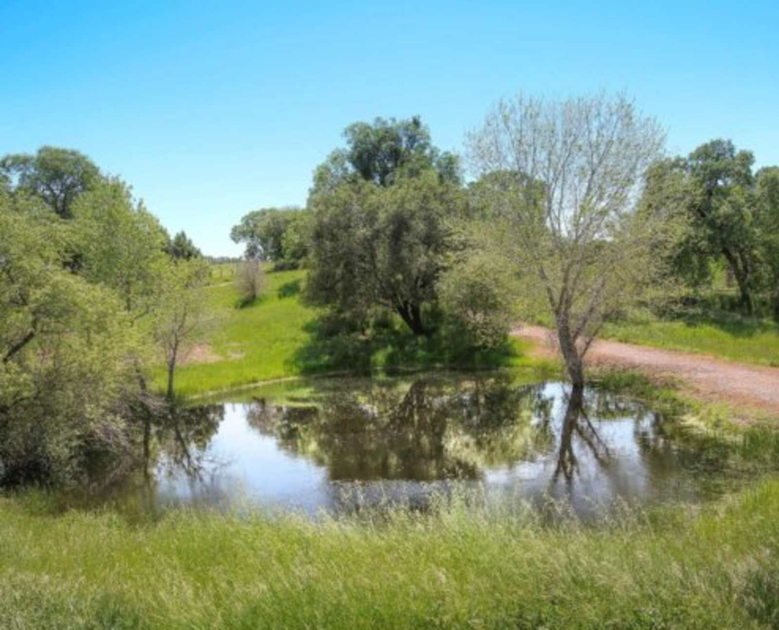 Angels Camp RV & Camping Resort - Angels Camp, California - glamping.directory