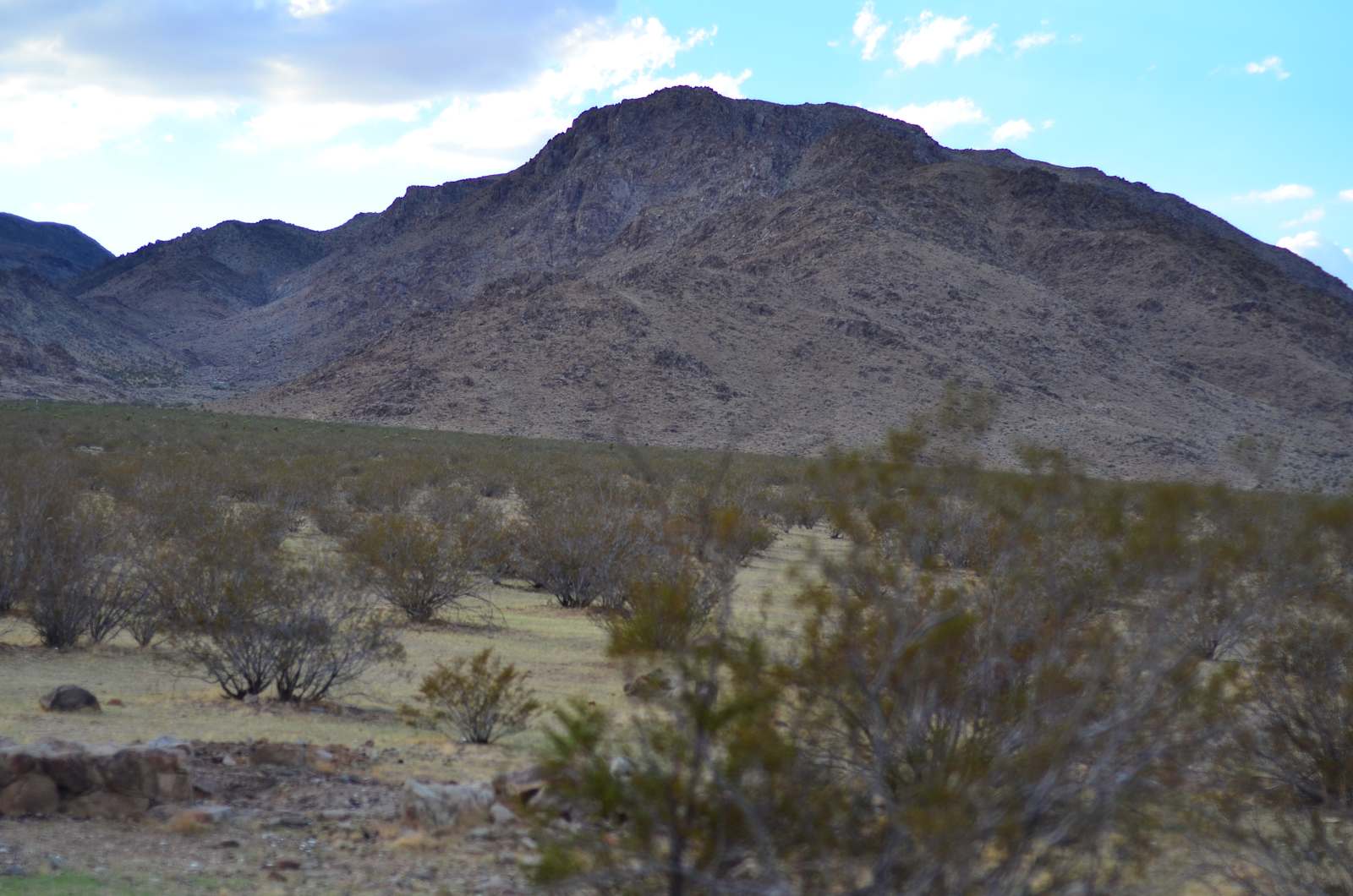 Mojave Moonlight Camping - Lucerne Valley, California - glamping.directory