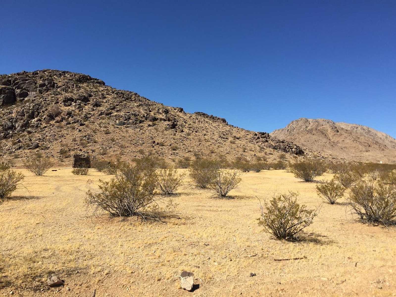 Mojave Moonlight Camping - Lucerne Valley, California - glamping.directory