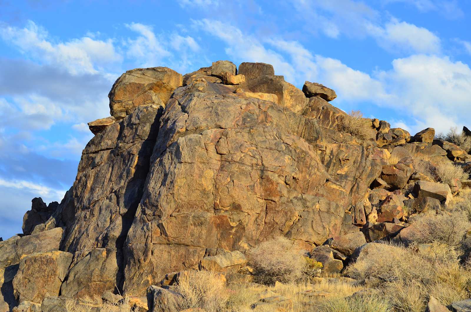 Mojave Moonlight Camping - Lucerne Valley, California - glamping.directory
