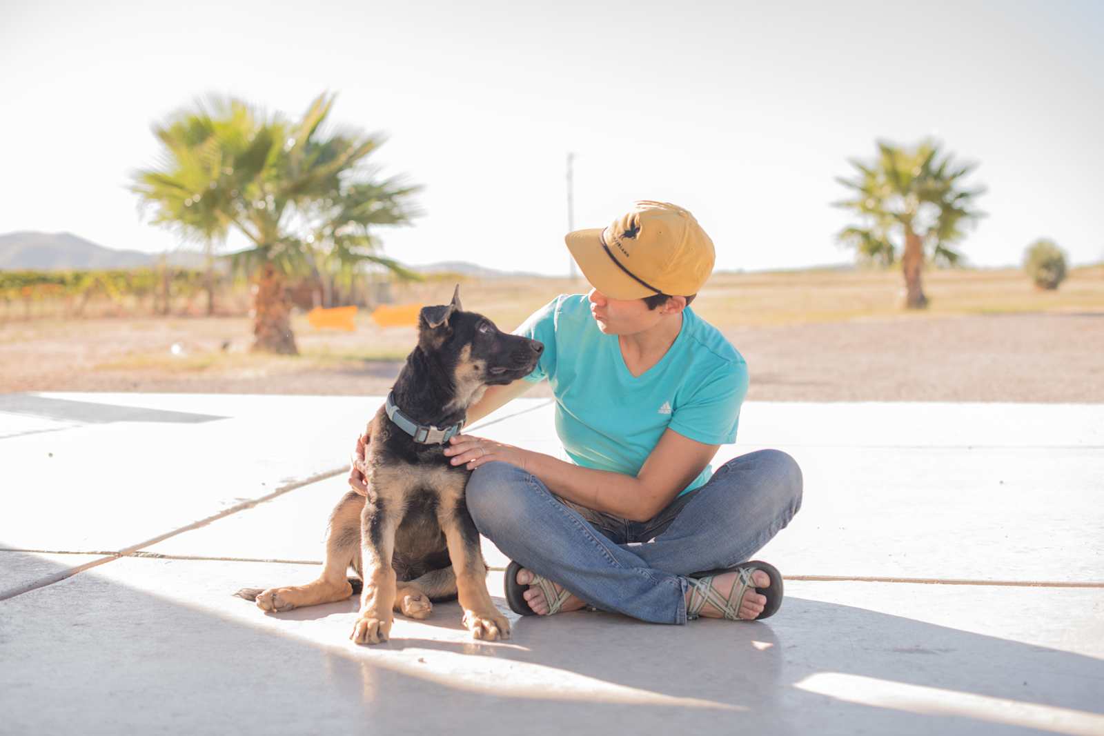 High Lonesome Vineyard & Hipcamp - Elfrida, Arizona - glamping.directory