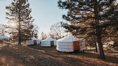 Cosy yurt at a nature retreat in Sequoia N Forest - Dunlap, California - glamping.directory