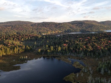 Cozy Lakefront Cabin with Private Firepit on Big Moose Lake, Adirondacks NY - Eagle Bay, New York - glamping.directory