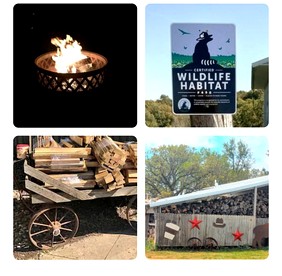 Tiny House Loft Rental Perfect for Minnesota Glamping - West Concord, Minnesota - glamping.directory
