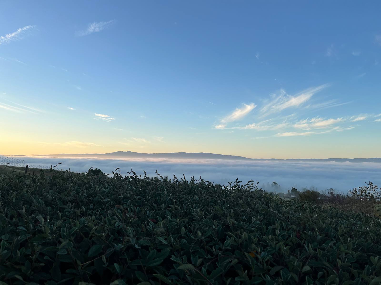 360 Moutain/City Views and Glamping - San Jose, California - glamping.directory