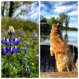 Comfortable Vacation Rental for Two in the Wilderness of Tulare County, California - Badger, California - glamping.directory