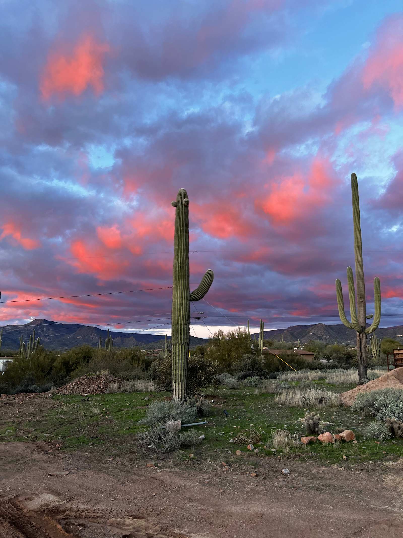 Marguerita Ranch - glamping.directory