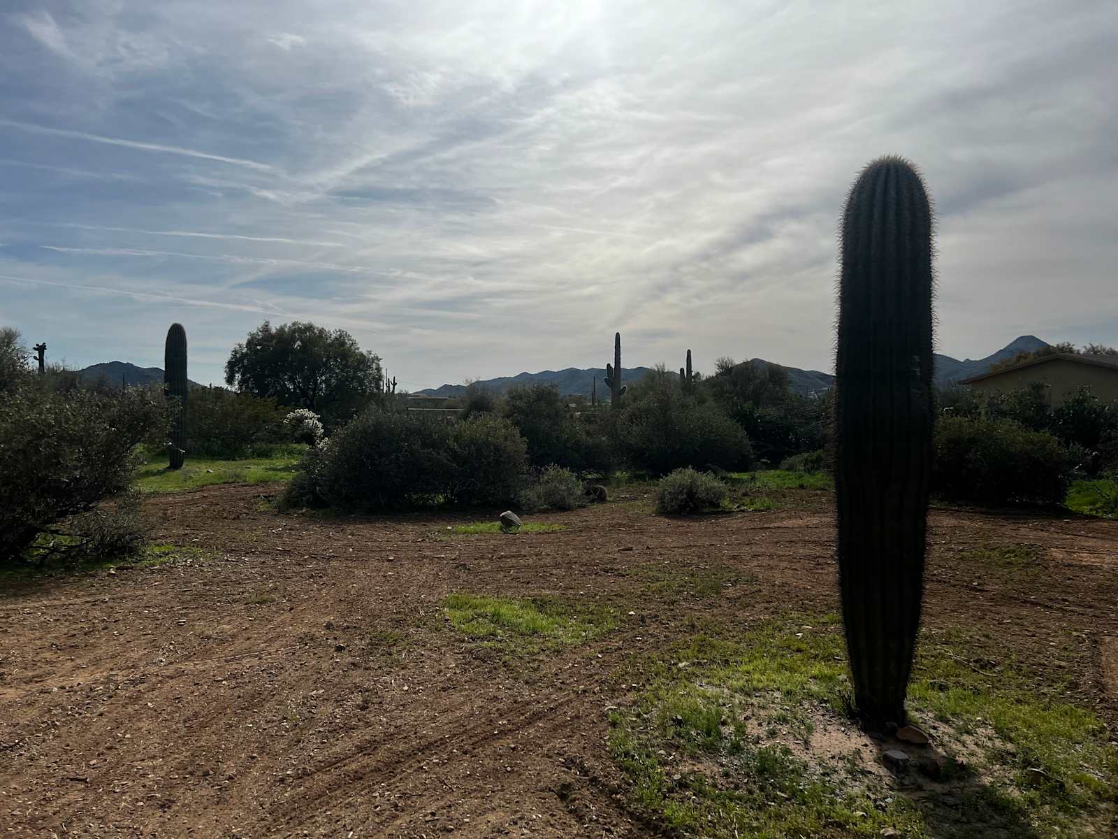 Marguerita Ranch - Cave Creek, Arizona - glamping.directory