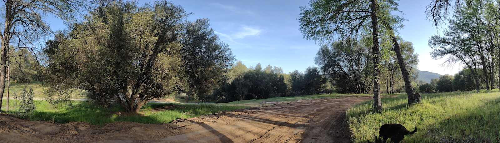 Camp SourBerry (near Yosemite) - Oakhurst, California - glamping.directory