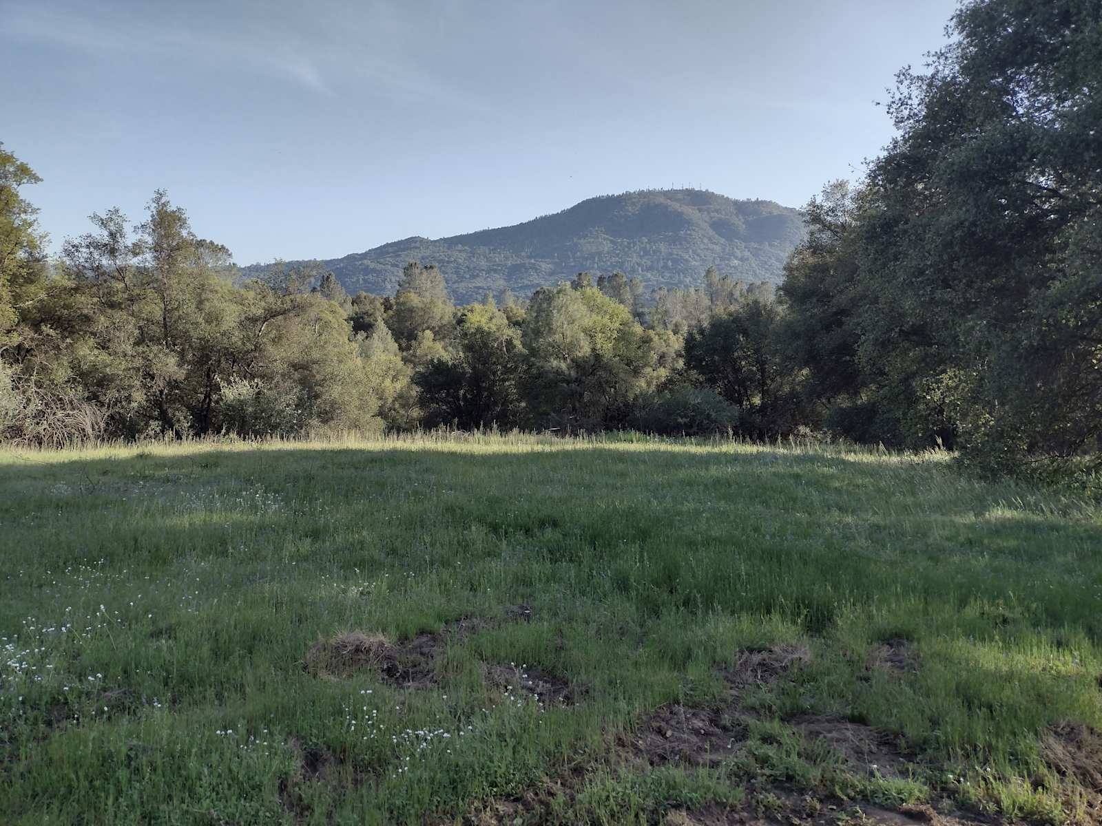 Camp SourBerry (near Yosemite) - Oakhurst, California - glamping.directory