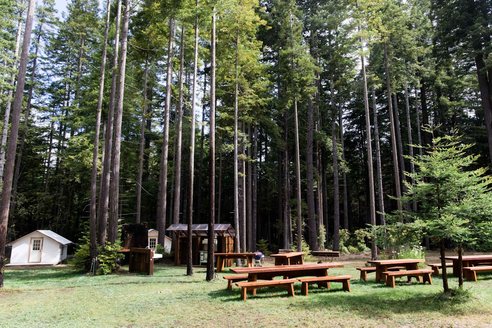Heartwood Mendocino - glamping.directory