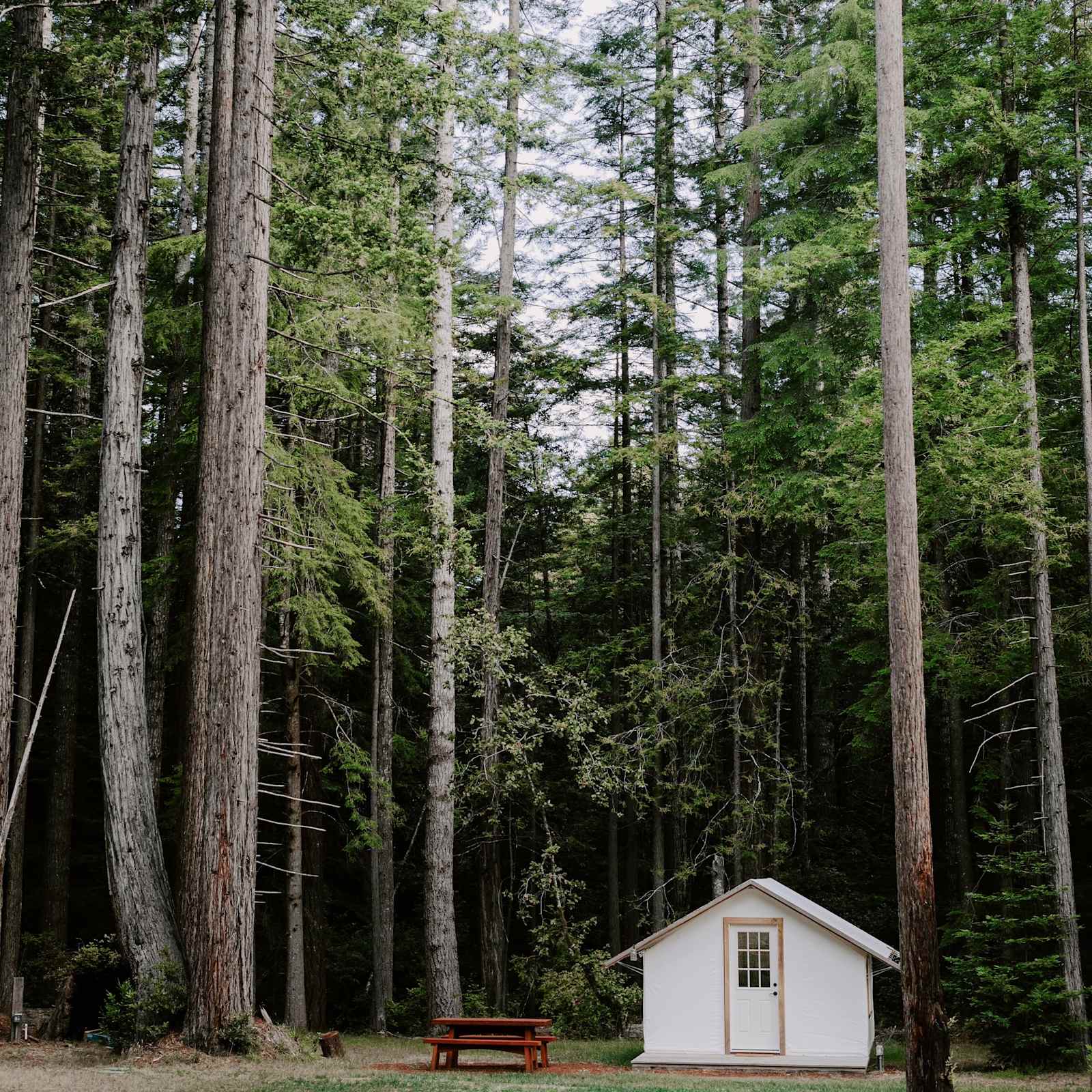 Heartwood Mendocino - Mendocino, California - glamping.directory