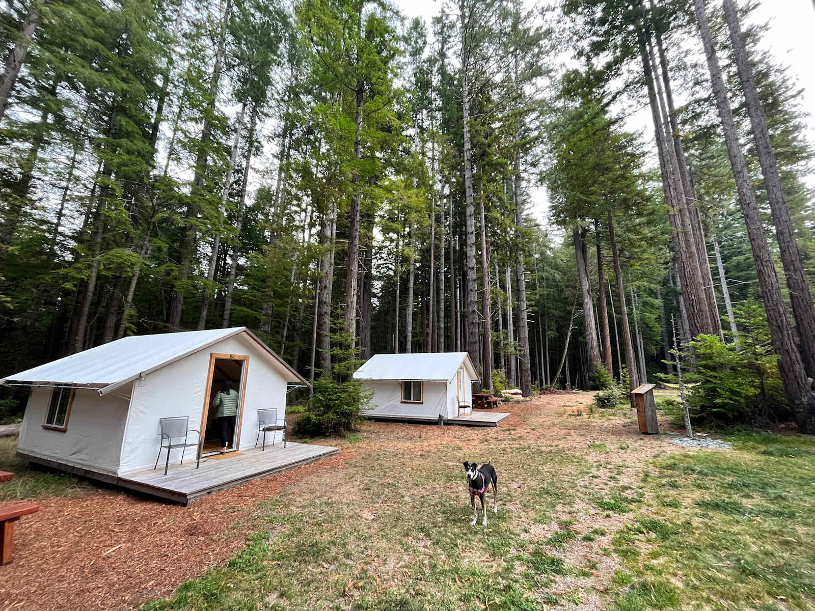 Heartwood Mendocino - Mendocino, California - glamping.directory