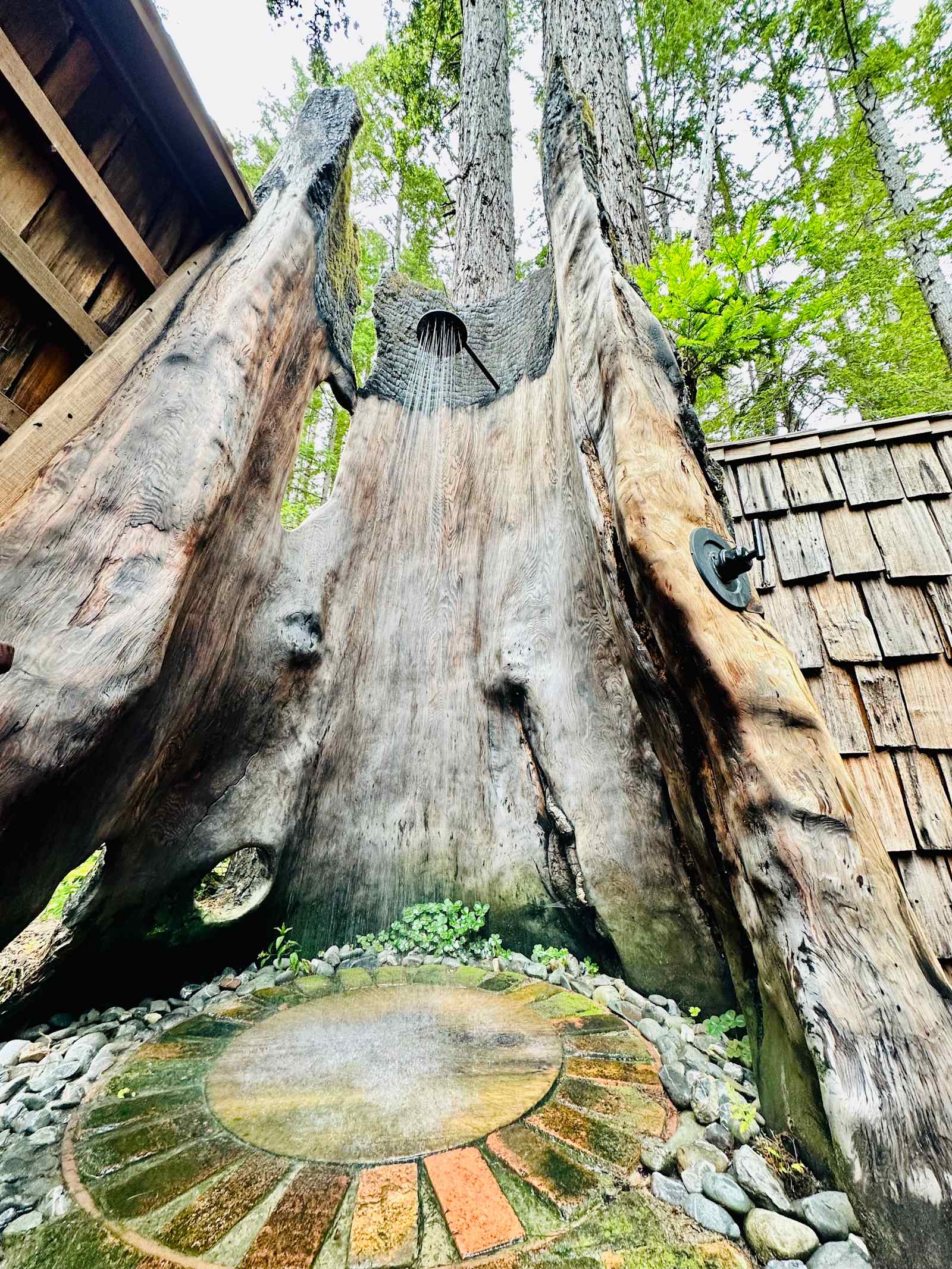 Heartwood Mendocino - Mendocino, California - glamping.directory