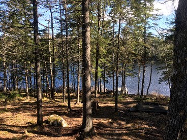 Secluded, Dog-Friendly Lakefront Cabin on Pristine Lake, Maine, for Wonderfully Romantic Getaways to Nature - Marshfield, Maine - glamping.directory