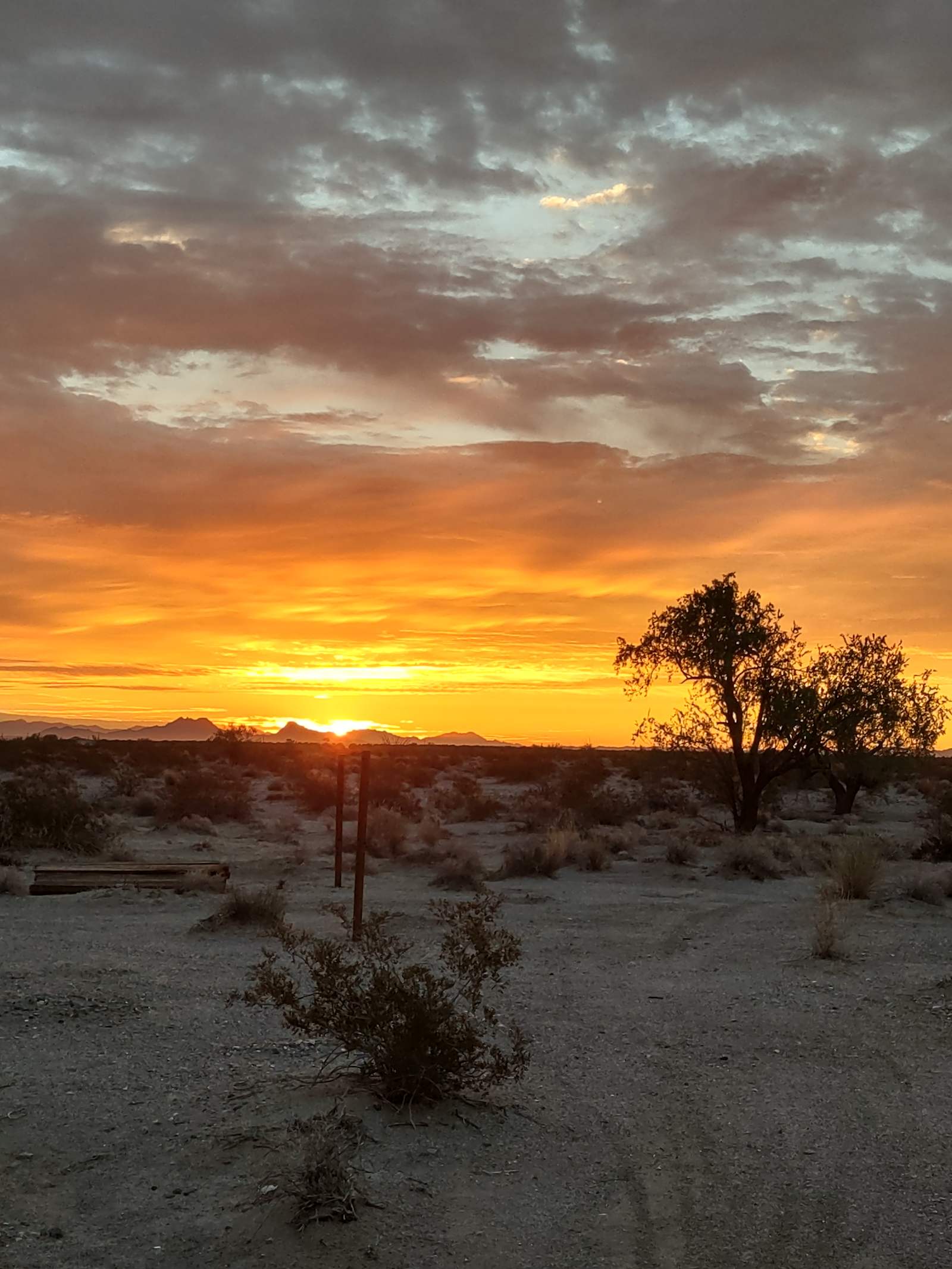 Camp'n Dirty - Wellton, Arizona - glamping.directory