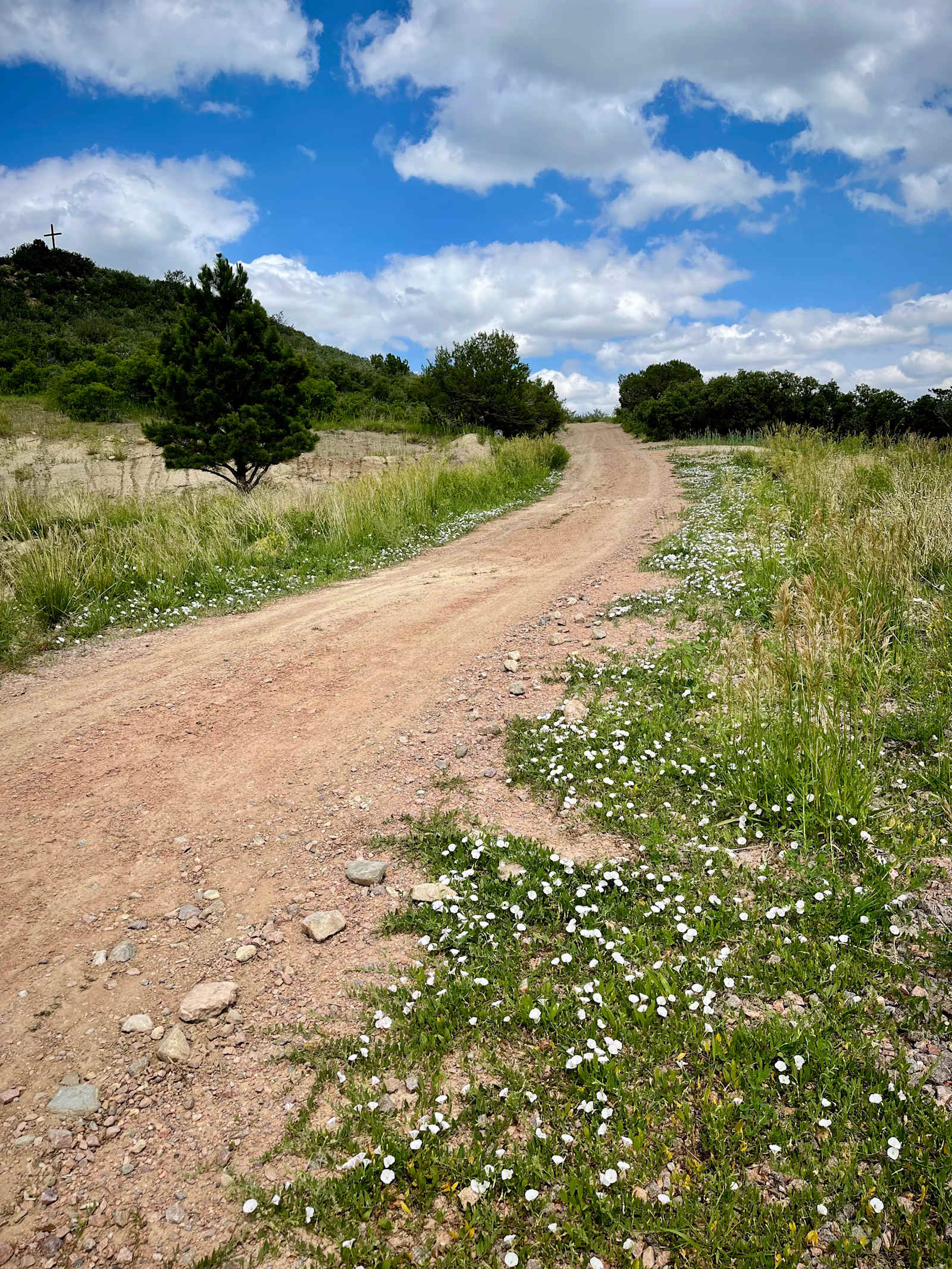 Haven Hill - Rye, Colorado - glamping.directory