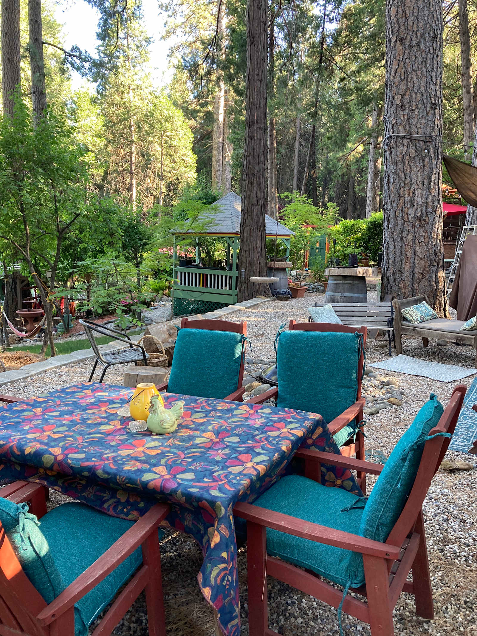 Towering Pine Retreat - Nevada City, California - glamping.directory