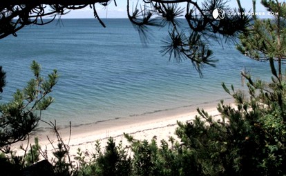Family-Friendly Vacation Rental on the Beach in Cape Cod - Truro, Massachusetts - glamping.directory
