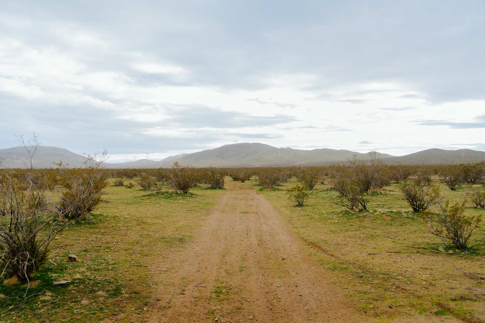 VVGMC TAILGATE - Apple Valley, California - glamping.directory
