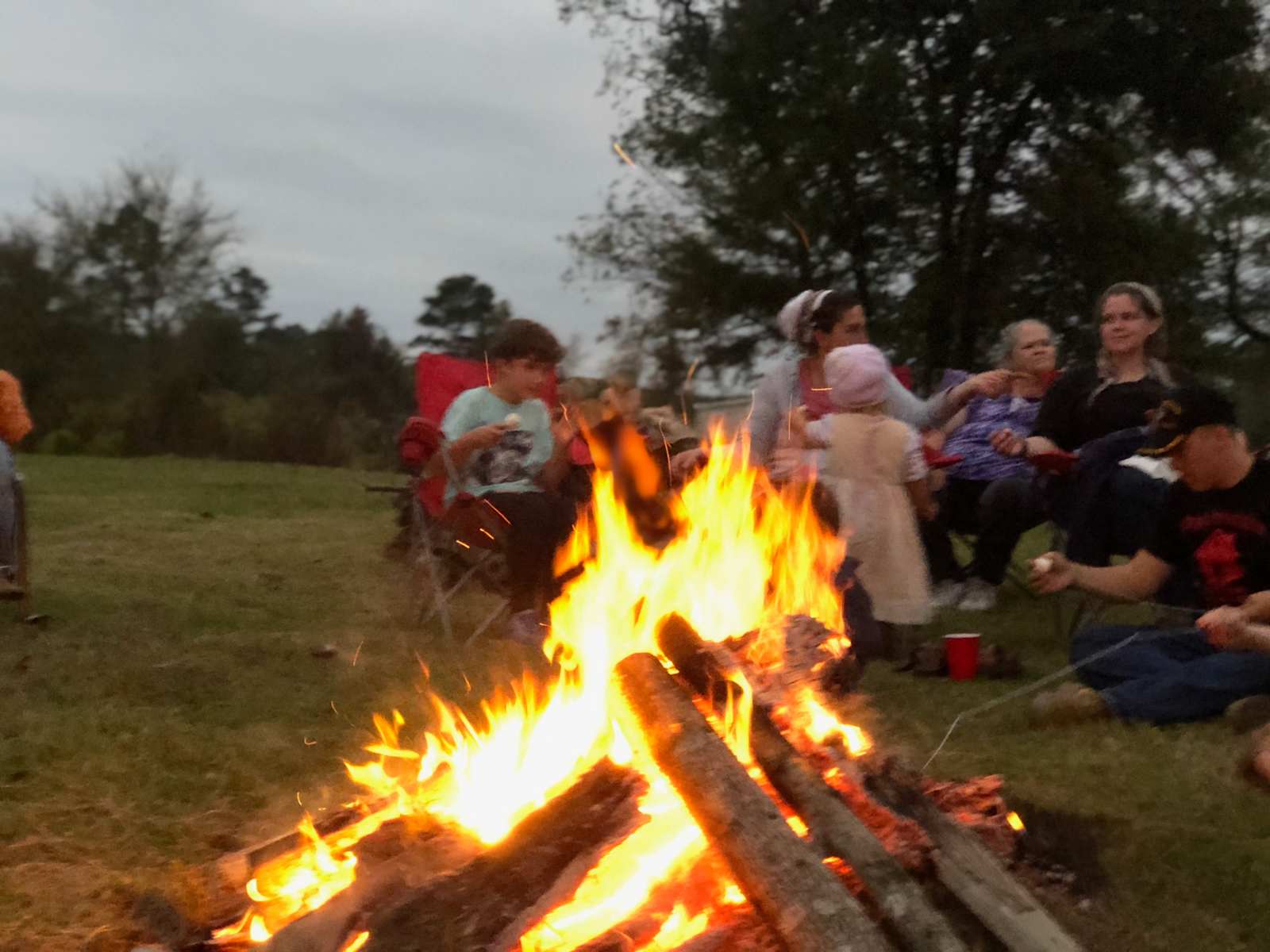 Jubilee Farm at Whiskey Bravo Ranch - Leola, Arkansas - glamping.directory