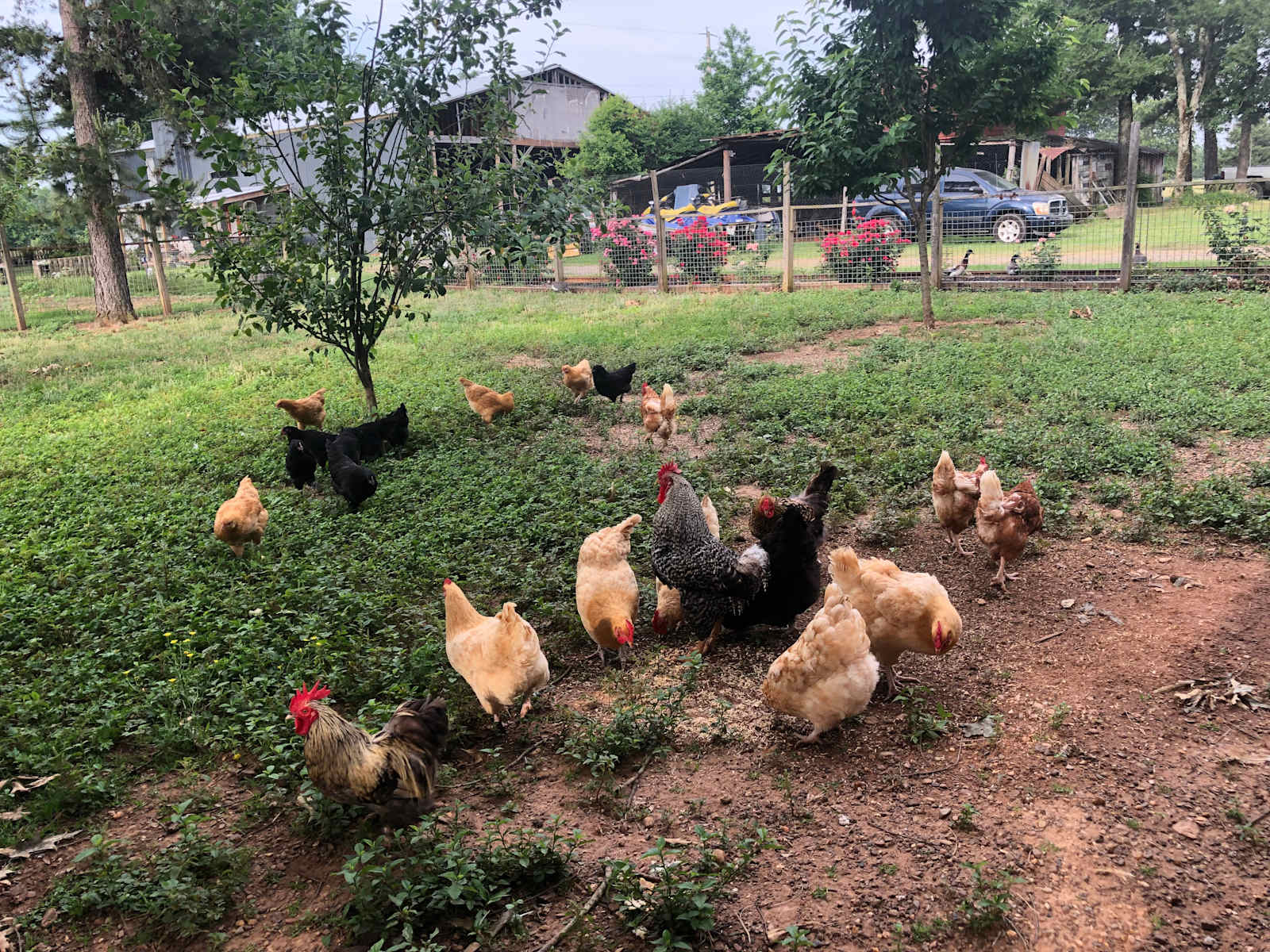 Jubilee Farm at Whiskey Bravo Ranch - Leola, Arkansas - glamping.directory