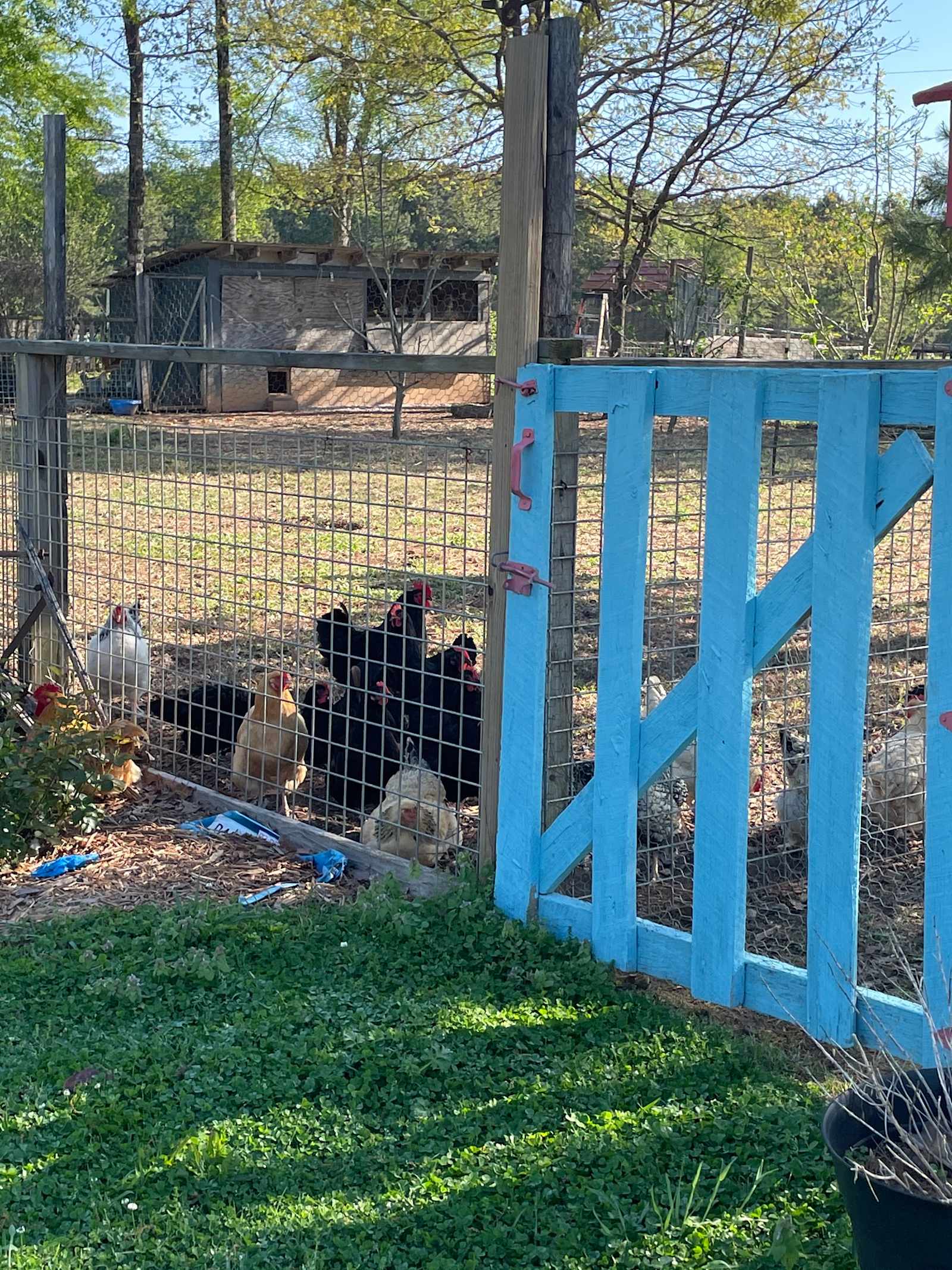 Jubilee Farm at Whiskey Bravo Ranch - Leola, Arkansas - glamping.directory