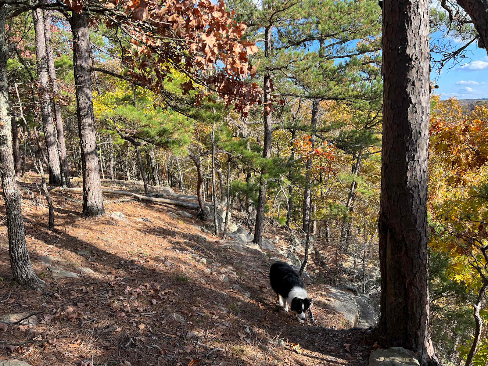 Spoke 'N Tru - Jasper, Arkansas - glamping.directory